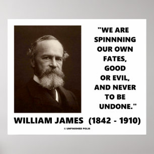 Spinning av våra egna öar Bra eller Evil James Quo Poster