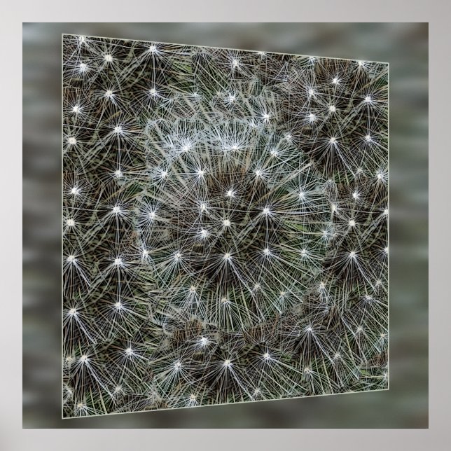 Spinning dandelion puff poster (Framsidan)