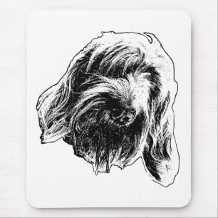 Spinone Arbetar Lugn Musmatta