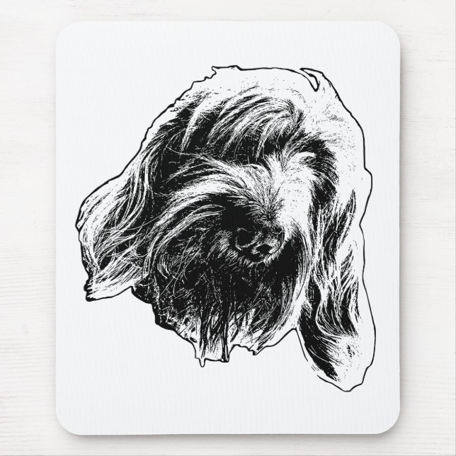 Spinone Arbetar Lugn Musmatta (Framsidan)