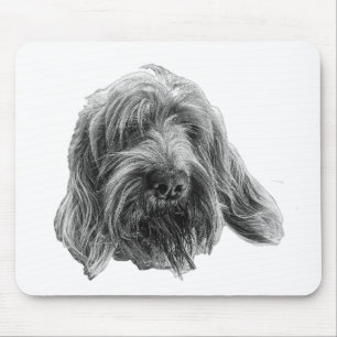Spinone Arbetsäng Musmatta