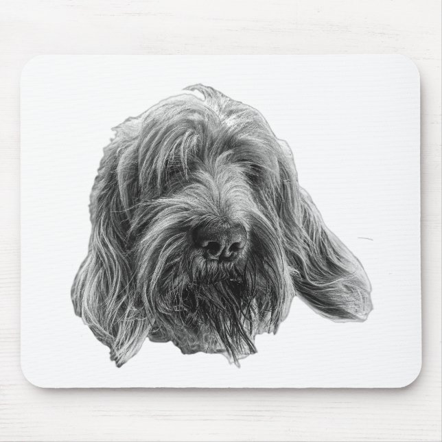 Spinone Arbetsäng Musmatta (Framsidan)