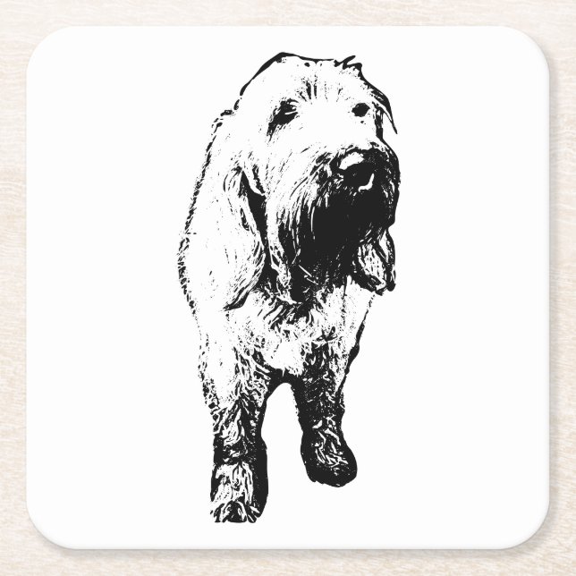Spinone Dog Coaster – Wiry Standing Design Underlägg Papper Kvadrat (Framsidan)