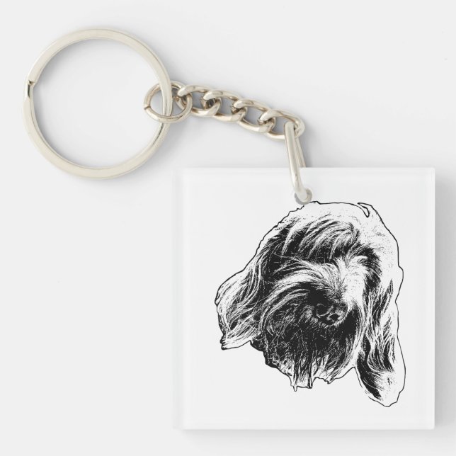 Spinone Fick Lugna (Framsidan)