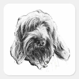 Spinone Italiano Art Sticker Fyrkantigt Klistermärke