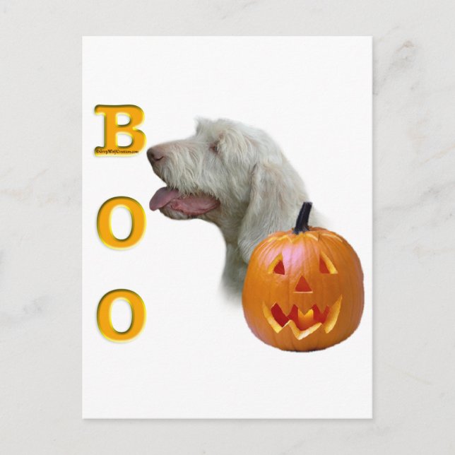 Spinone Italiano Boo Vykort (Framsida)