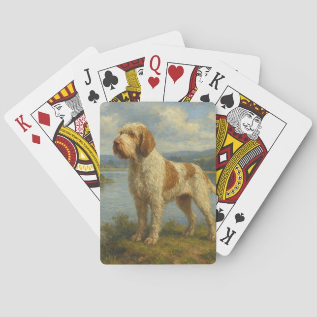 Spinone Italiano Casinokort (Baksidan)