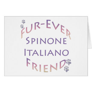 Spinone Italiano Furever Friend Hälsningskort