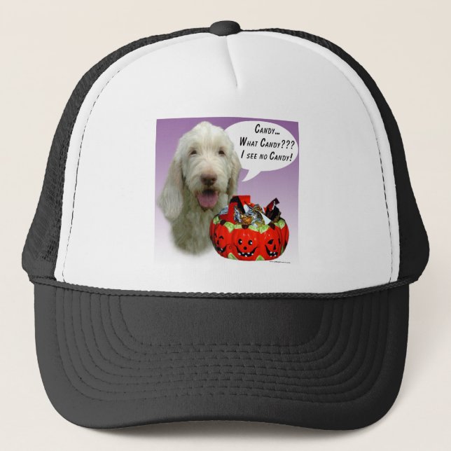 Spinone Italiano Halloween Candy Keps (Framsida)
