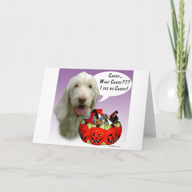 Spinone Italiano Halloween Candy Kort (Framsida)