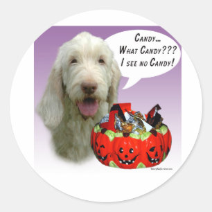 Spinone Italiano Halloween Candy Runt Klistermärke