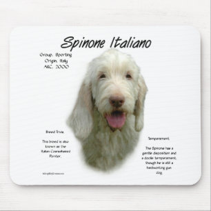 Spinone Italiano-historikdesign Musmatta