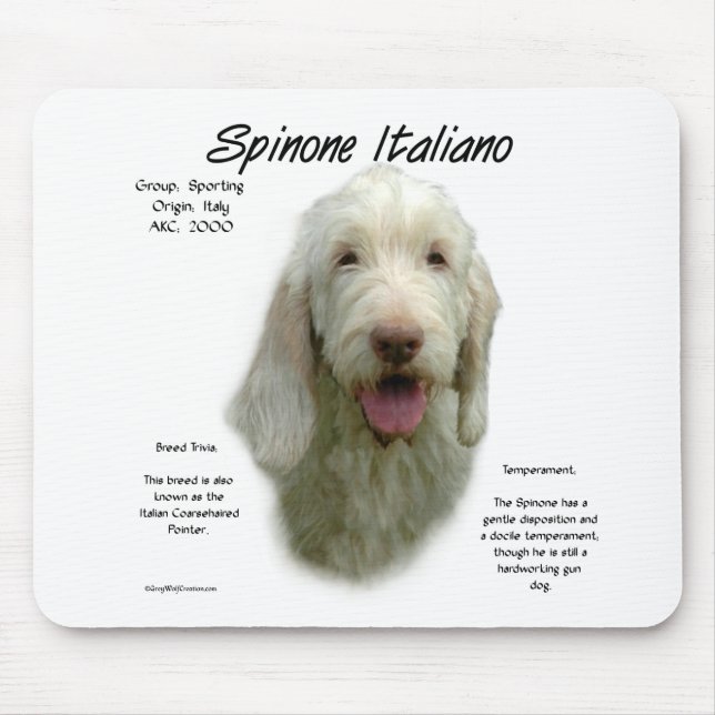 Spinone Italiano-historikdesign Musmatta (Framsidan)