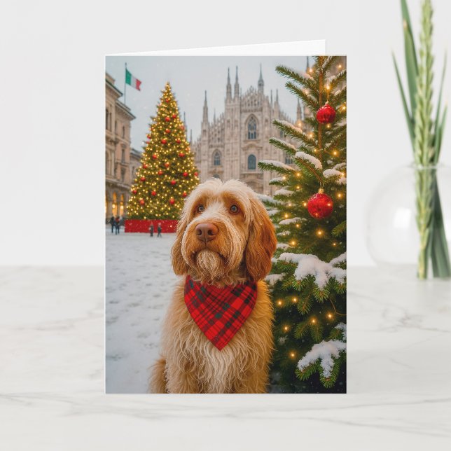 Spinone Italiano Holiday Card Helgkort (Framsida)