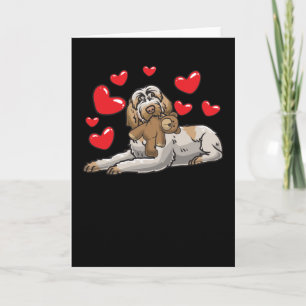 Spinone Italiano-Hund med Mjukisdjur och Kort