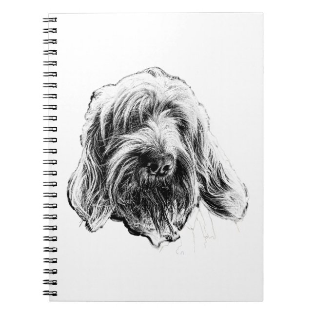 Spinone Italiano Hund Notisbok Anteckningsbok (Framsidan)