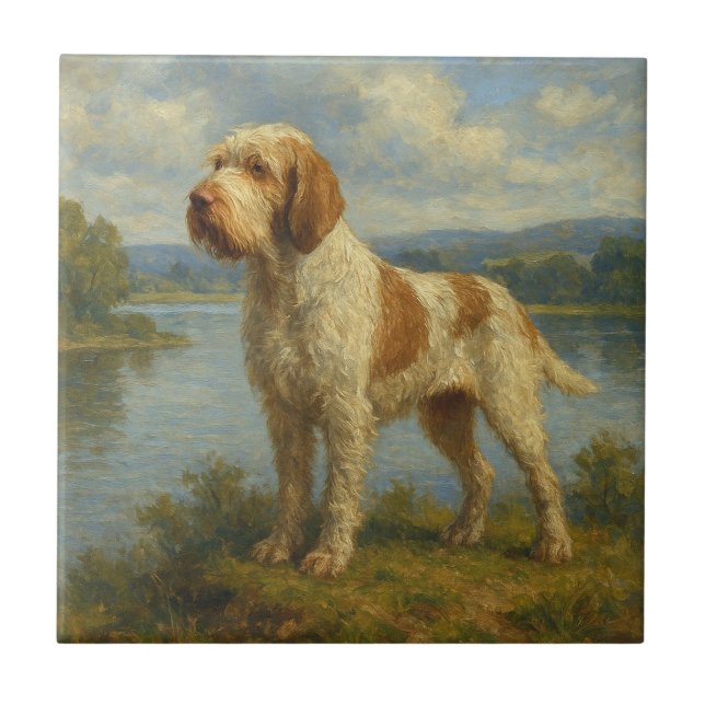 Spinone Italiano Kakelplatta (Framsidan)