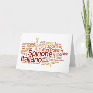 Spinone Italiano Kort