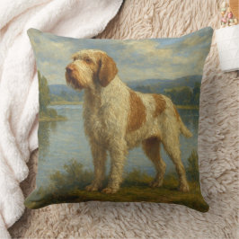 Spinone Italiano Kudde