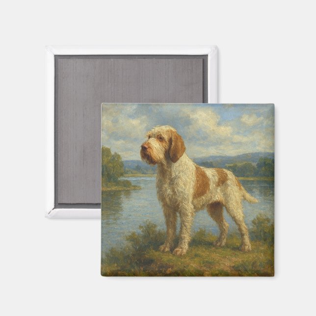 Spinone Italiano Magnet (Front/Back)