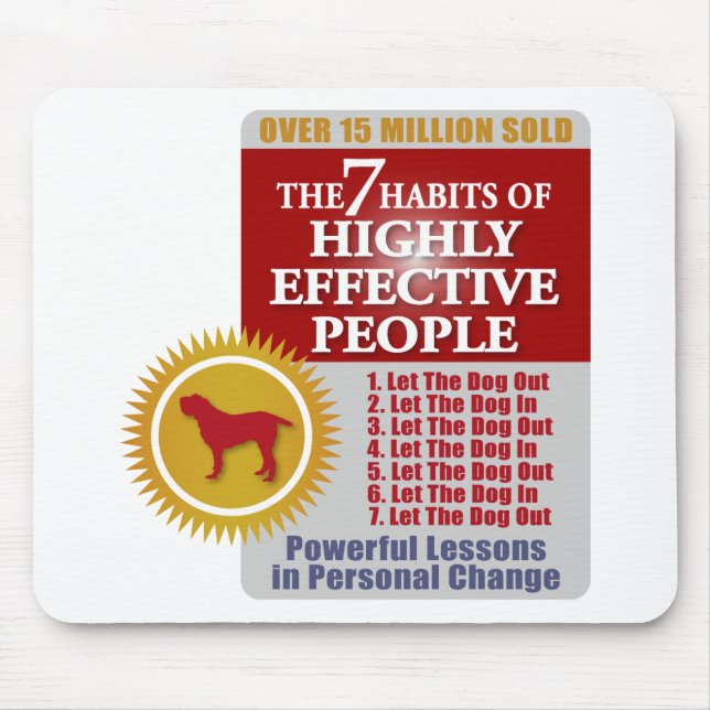 Spinone Italiano Musmatta (Framsidan)