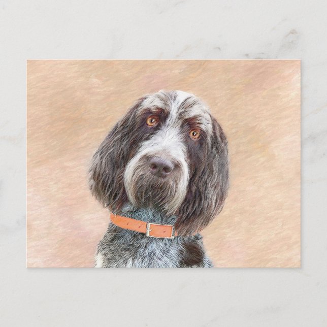 Spinone Italiano Painting - Cute Original Hund Art Vykort (Framsida)