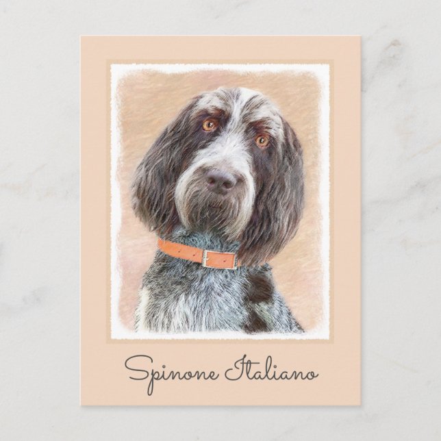 Spinone Italiano Painting - Cute Original Hund Art Vykort (Framsida)