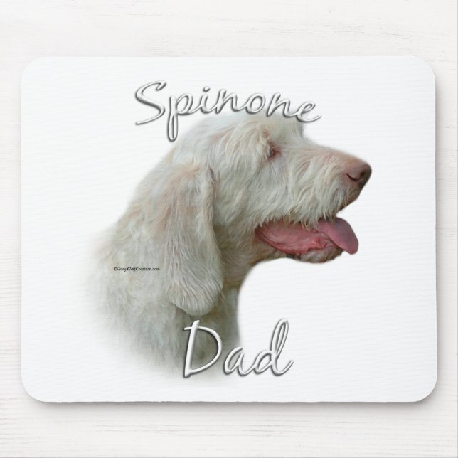 Spinone Italiano Pappa 2 Musmatta (Framsidan)
