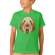 Spinone Italiano