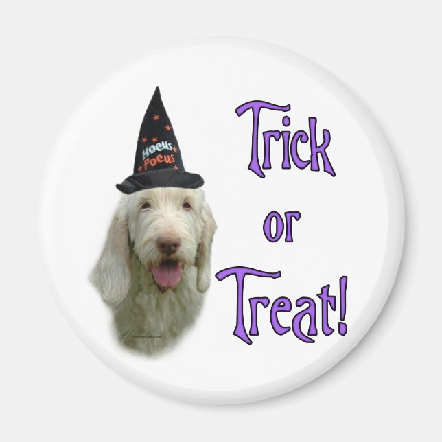 Spinone Italiano Trick Magnet (Framsidan)