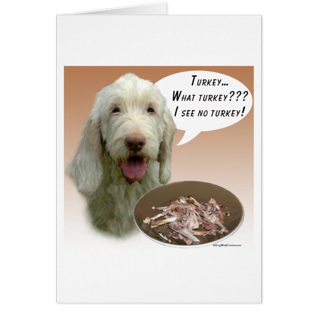 Spinone Italiano Turkiet Hälsningskort (Framsidan)