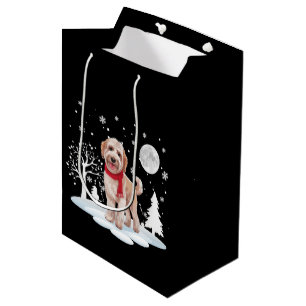 Spinone Italiano under månljus snö jul