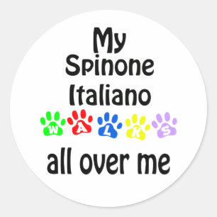 Spinone Italiano Walks Design Runt Klistermärke