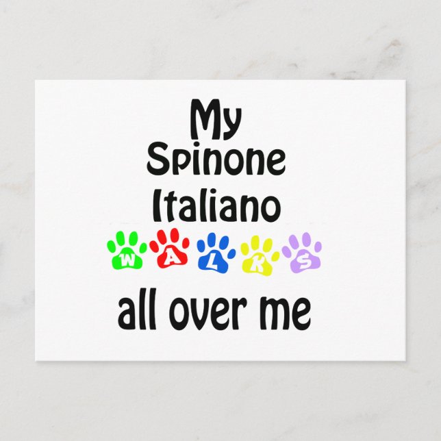 Spinone Italiano Walks Design Vykort (Framsida)
