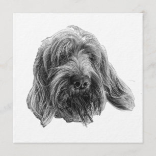 Spinone Middagsinbjudan Inbjudningar