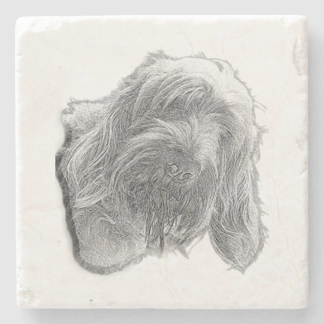 Spinone Stillness – Artisan Coaster Stenunderlägg (Framsidan)