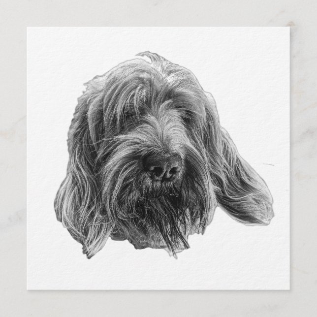 Spinone Supper Invite Inbjudningar (Framsida)