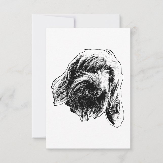 Spinone Tacksam Tack Kort (Framsida)