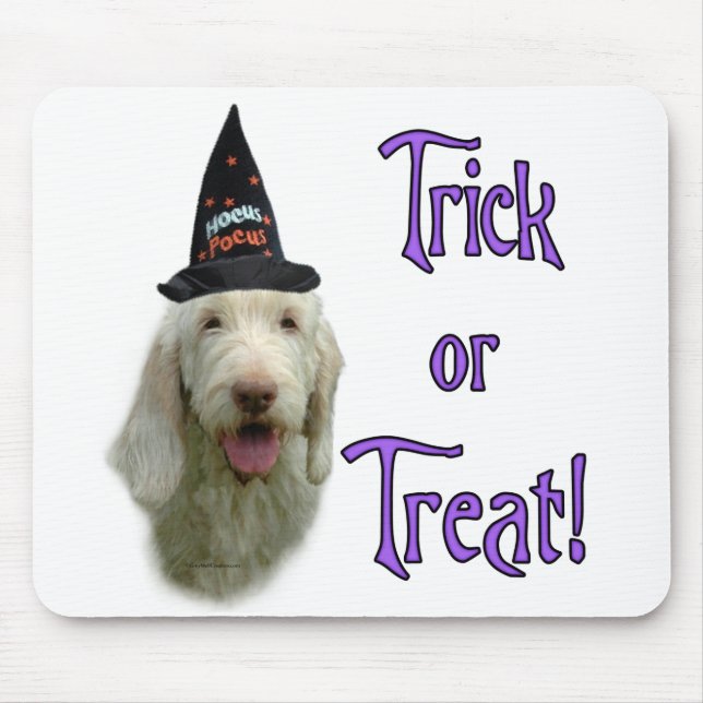 Spinone Trick Mousepad Musmatta (Framsidan)