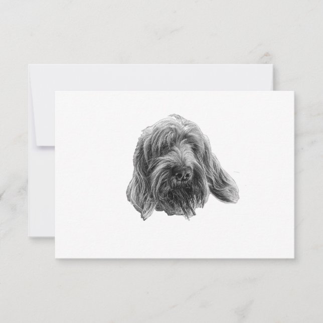 Spinone Tyst Tack Kort (Framsida)