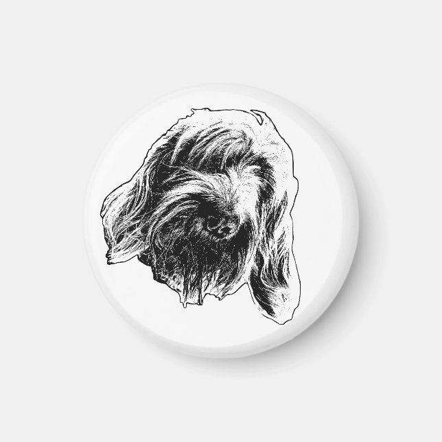 Spinone Warm Counter Magnet (Framsidan)