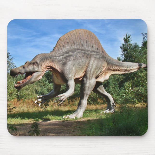 Spinosaurus Dinosaur Musmatta (Framsidan)