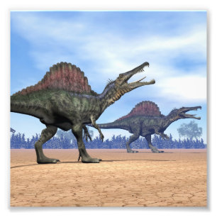 Spinosaurus dinosaurs går - 3D framför Fototryck