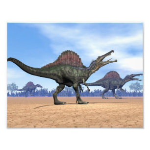 Spinosaurus dinosaurs går - 3D framför Fototryck