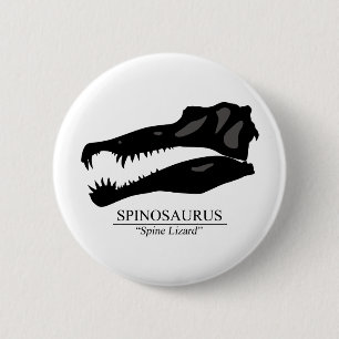 Spinosaurus Skull Knapp