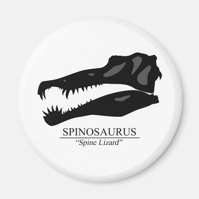 Spinosaurus Skull Magnet (Framsidan)