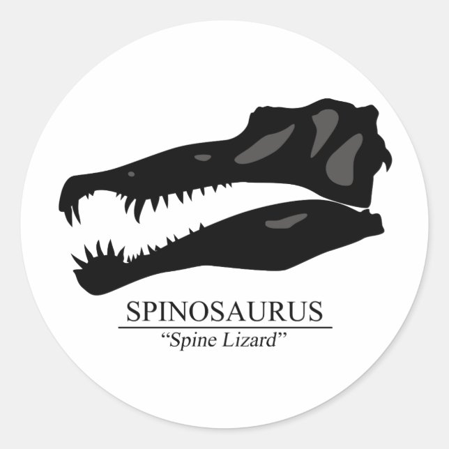 Spinosaurus Skull Runt Klistermärke (Framsida)