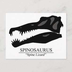 Spinosaurus Skull Vykort
