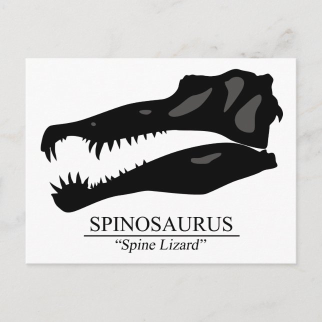 Spinosaurus Skull Vykort (Framsida)