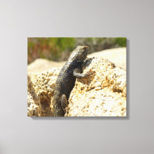 Spiny Lizard med gult vid Joshua Träd Canvastryck